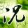 小红书客服回应俞浩怒批小红书